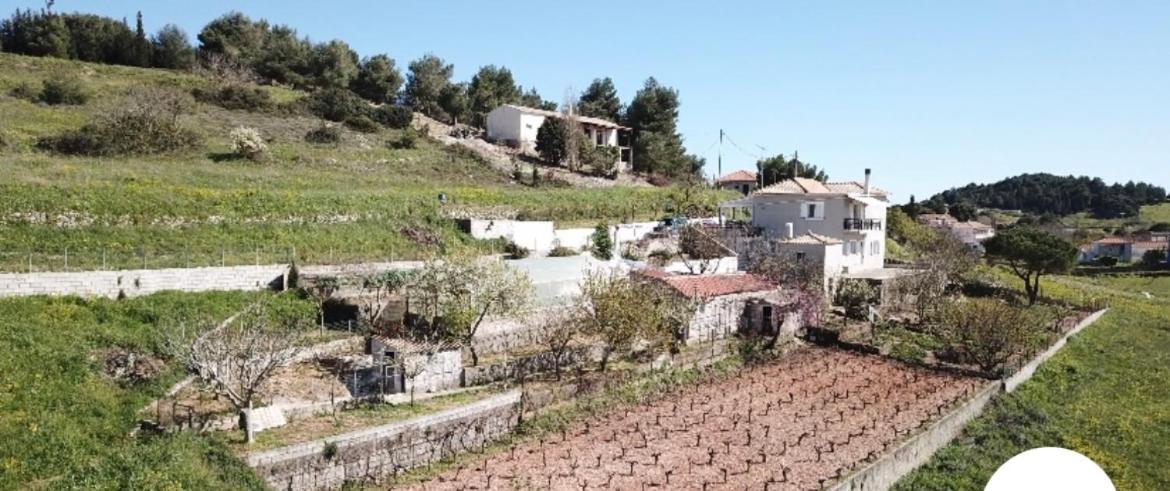 Farmhouse Volímesz Kültér fotó